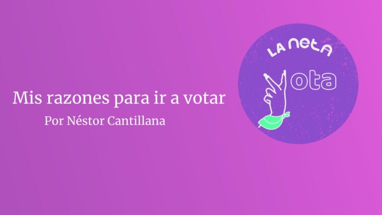 Lee más sobre el artículo Mis razones para ir a votar: Néstor Cantillana