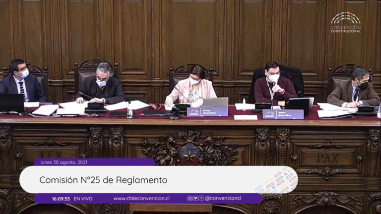 Lee más sobre el artículo Boletín diario: ¿Qué pasó este lunes 30.08 en la Convención Constitucional?