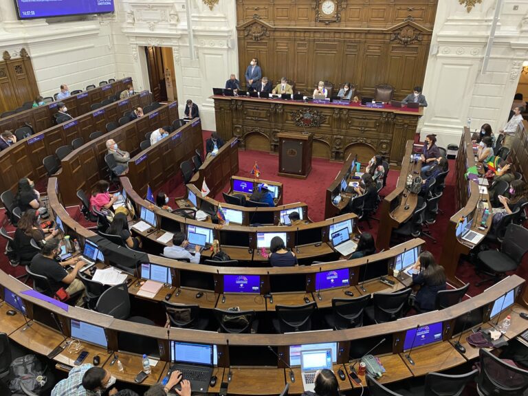 Lee más sobre el artículo Boletín diario: ¿Qué pasó este jueves 28.10 en la Convención Constitucional?