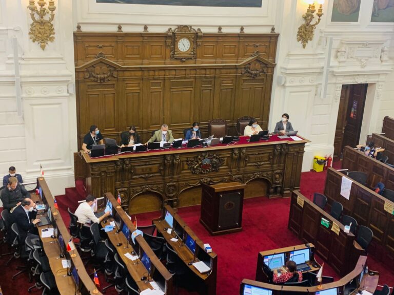 Lee más sobre el artículo Normas sobre principios constitucionales ingresan al borrador de nueva Constitución