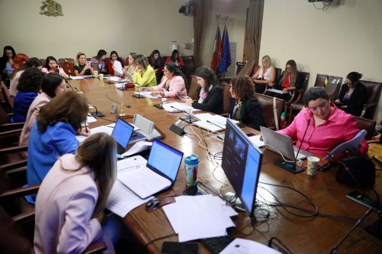 Lee más sobre el artículo Proyecto que crea una pensión para hijos de víctimas de femicidio pasa a Comisión de Hacienda