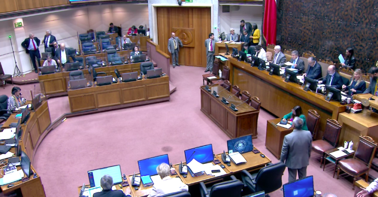 Lee más sobre el artículo Senado aprueba reforma que precisa redacción de paridad de salida para el Consejo Constitucional