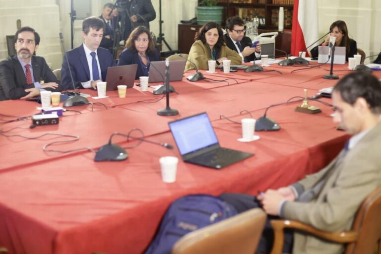 Lee más sobre el artículo 3 de 192: La cantidad de artículos sobre representación indígena en el anteproyecto