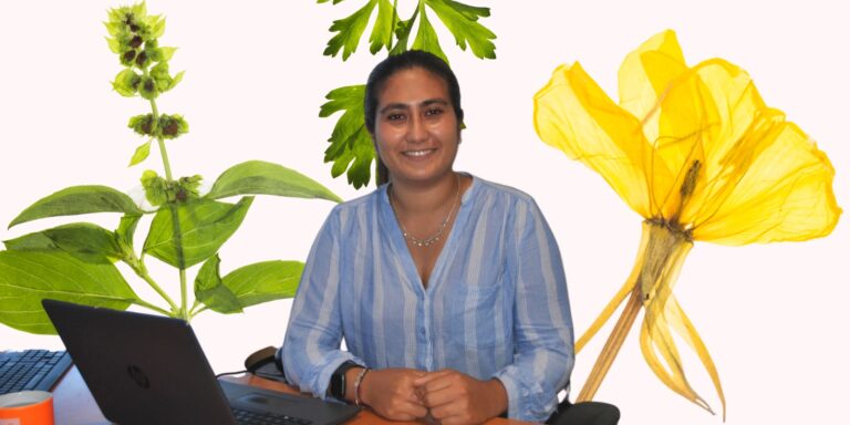 Lee más sobre el artículo La paridad como principio democrático