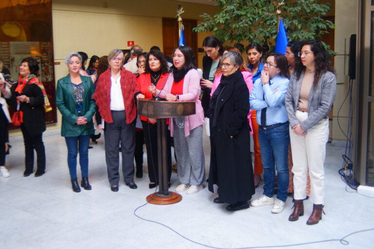 Lee más sobre el artículo Bancada Julieta Kirkwood busca agilizar tramitación del proyecto de ley de violencia integral