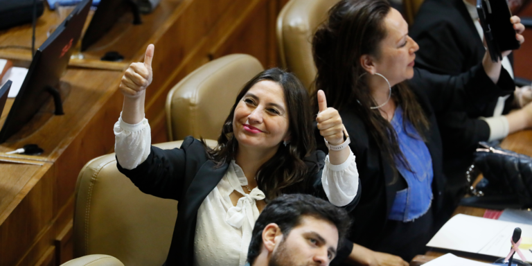 Lee más sobre el artículo Diputada Nathalie Castillo (PC): “Esto no es un capricho, ni menos resultado de la ‘ideología de género’, sino que es garantizar el derecho al trabajo de las mujeres»