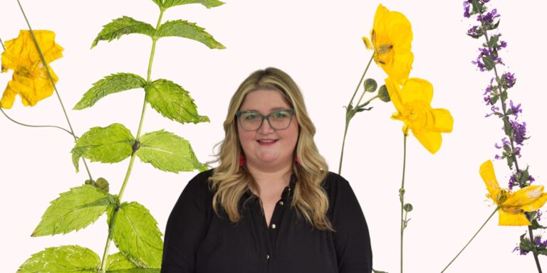 Lee más sobre el artículo [Carta a la directora] Fiscalización IVE: del avance del manual al cumplimiento real