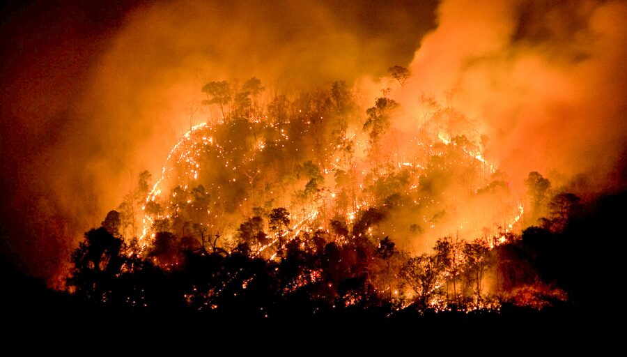 Lee más sobre el artículo Deuda legislativa: la urgencia de una ley de incendios en medio de una catástrofe ambiental