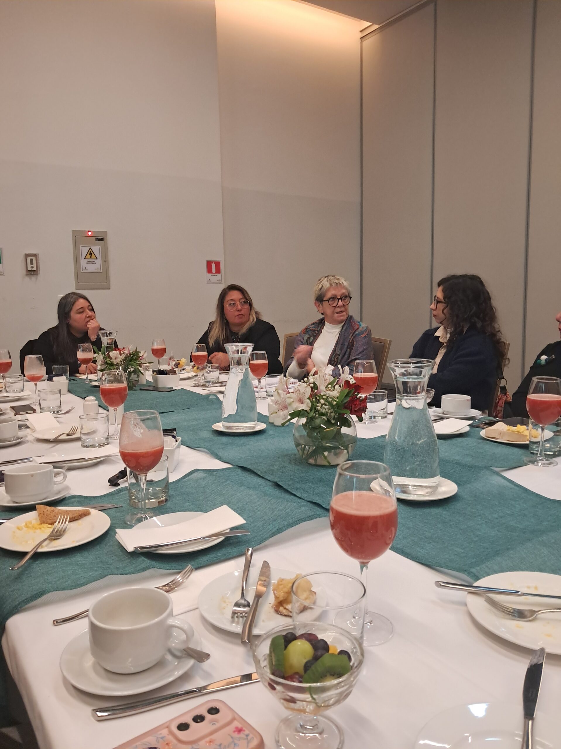 Lee más sobre el artículo Encuentro reúne a liderazgos feministas para fortalecer estrategias de defensa de los derechos humanos
