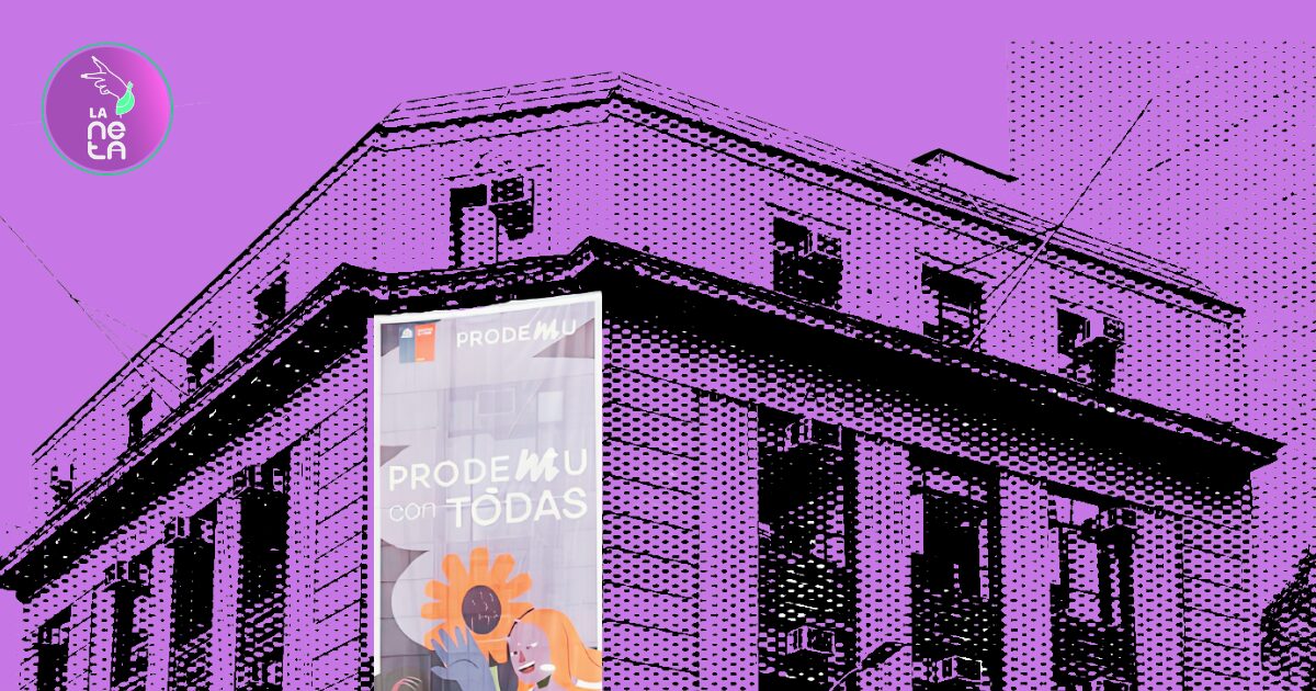 Lee más sobre el artículo PRODEMU al borde del cierre: ¿qué perderían las mujeres chilenas con el fin de la institución?