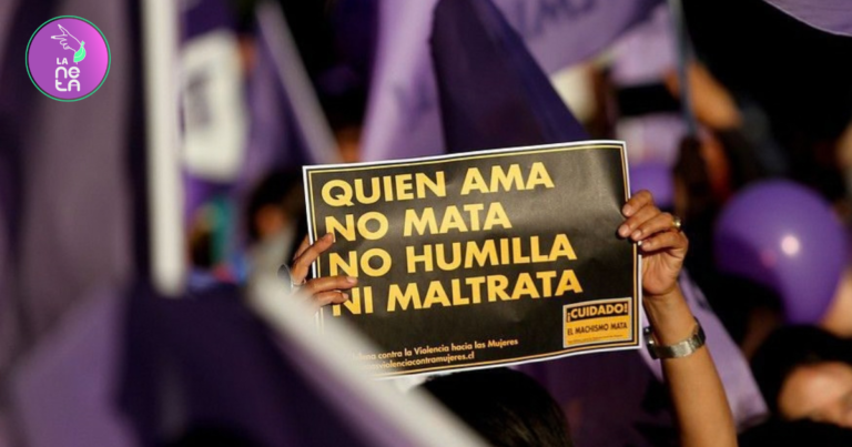 Lee más sobre el artículo El informe anual del CIF : lo que revelan las cifras de los femicidios en Chile en 2025